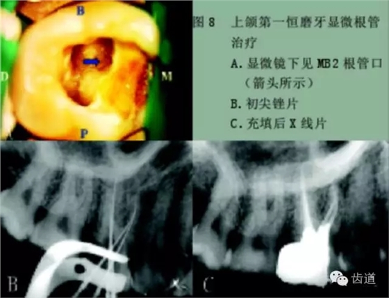 640.webp.jpg 640.webp.jpg