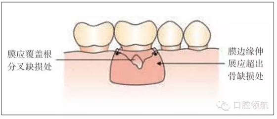 3.webp.jpg 3.webp.jpg