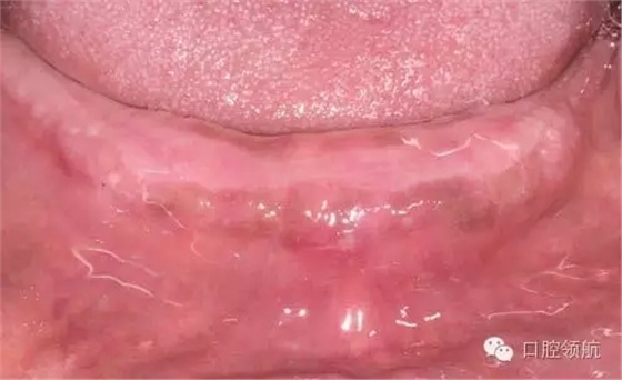 8.webp.jpg 8.webp.jpg