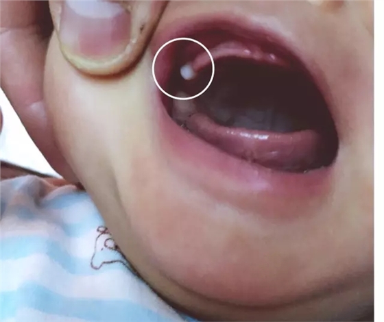 640.webp.jpg 640.webp.jpg