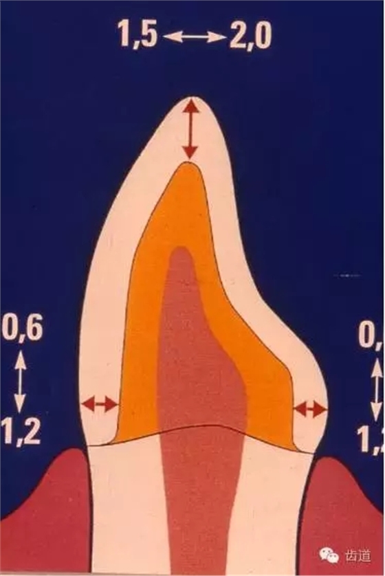 1.webp.jpg 1.webp.jpg