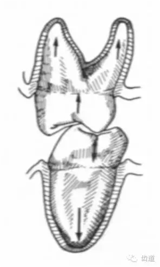 9.webp.jpg 9.webp.jpg