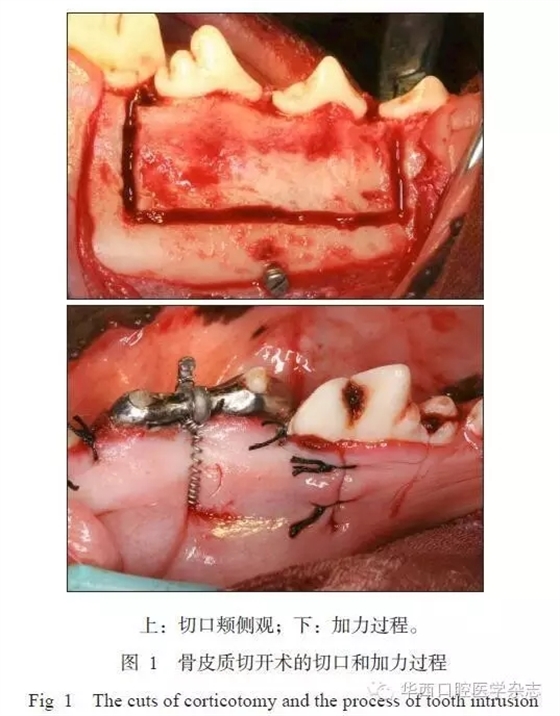 1.webp.jpg 1.webp.jpg