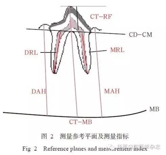 2.webp.jpg 2.webp.jpg