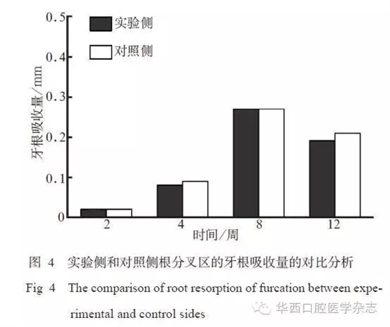 5.webp.jpg 5.webp.jpg