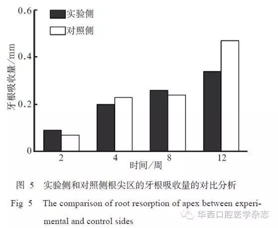 6.webp.jpg 6.webp.jpg