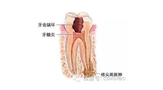 圖片9.png 圖片9.png