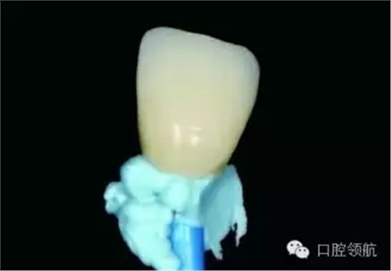 640.webp (4).jpg 640.webp (4).jpg