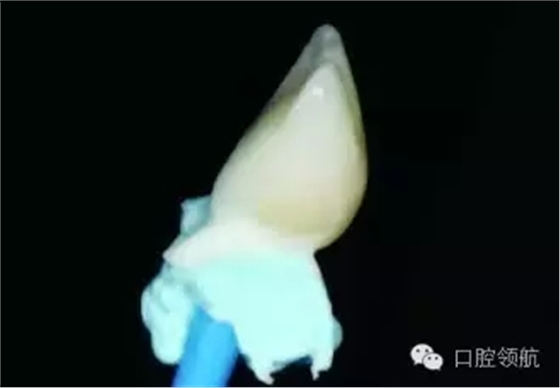 640.webp (6).jpg 640.webp (6).jpg