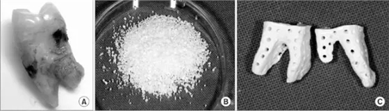 640.webp.jpg 640.webp.jpg