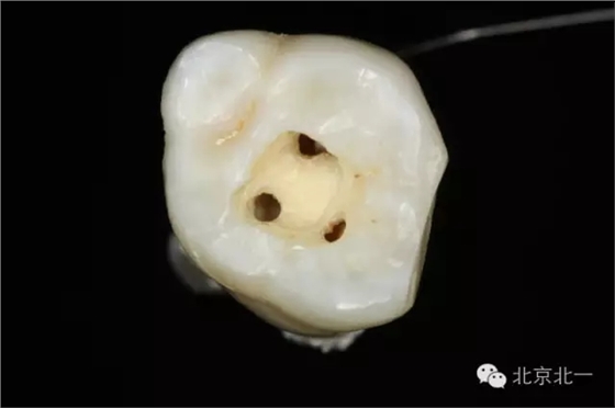 640.webp.jpg 640.webp.jpg