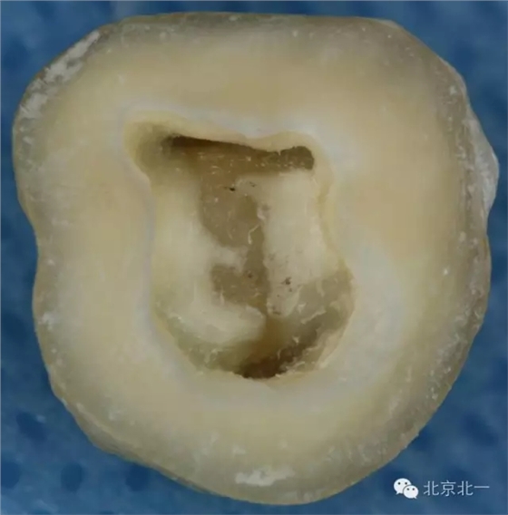 640.webp (2).jpg 640.webp (2).jpg