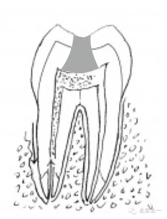 640.webp (6).jpg 640.webp (6).jpg