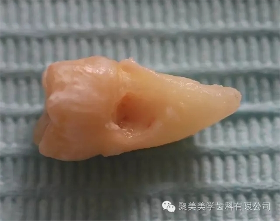 640.webp (3).jpg 640.webp (3).jpg