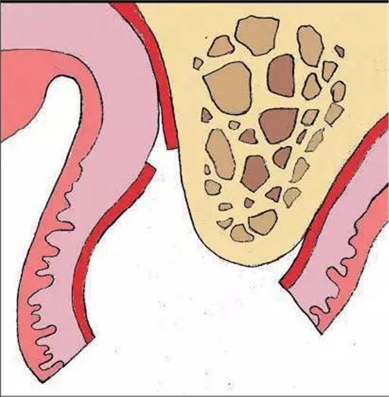 640.webp (3).jpg 640.webp (3).jpg