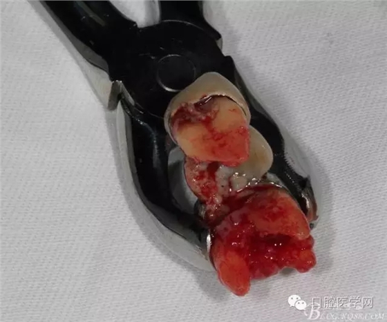 640.webp (7).jpg 640.webp (7).jpg