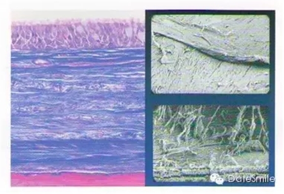 0.webp (4).jpg 0.webp (4).jpg