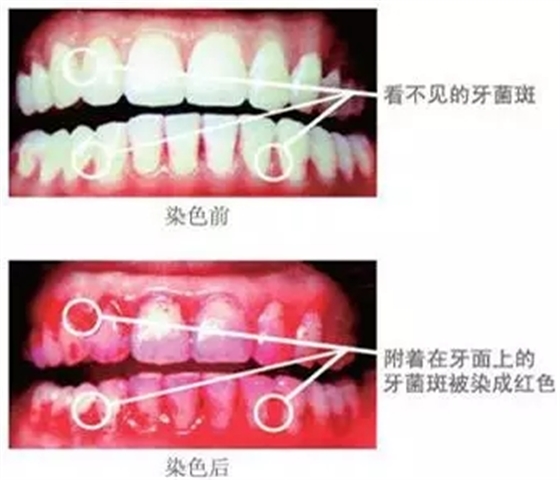 640.webp (1).jpg 640.webp (1).jpg