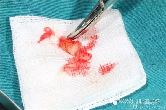 640.webp (11).jpg 640.webp (11).jpg