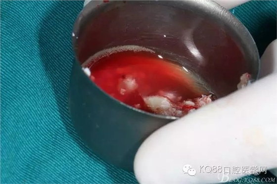 640.webp (17).jpg 640.webp (17).jpg