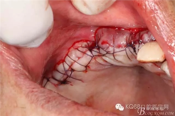 640.webp (24).jpg 640.webp (24).jpg