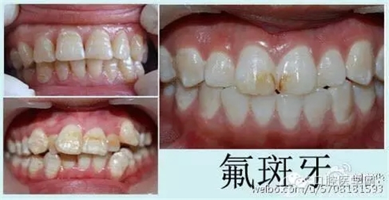 640.webp.jpg 640.webp.jpg