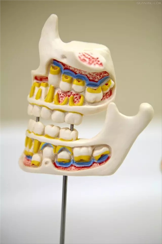 無牙頜種植修復(fù)的檢查與設(shè)計——施斌教授 無牙頜種植修復(fù)的檢查與設(shè)計——施斌教授