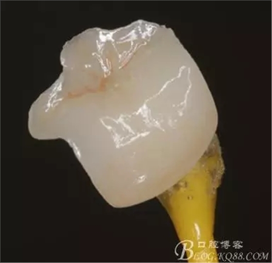 640.webp (10).jpg 640.webp (10).jpg