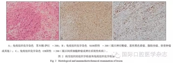 640.webp (10).jpg 640.webp (10).jpg