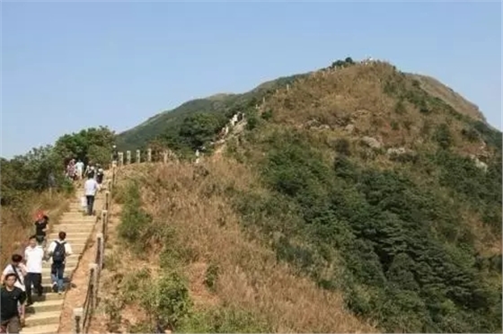 640.webp (2).jpg 640.webp (2).jpg