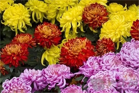 640.webp (6).jpg 640.webp (6).jpg