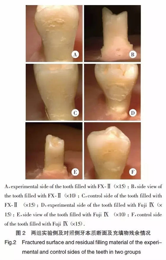 640.webp (4).jpg 640.webp (4).jpg