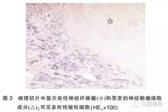 640.webp (3).jpg 640.webp (3).jpg