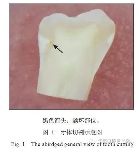 640.webp.jpg 640.webp.jpg