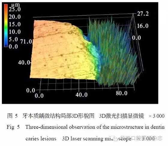 640.webp (4).jpg 640.webp (4).jpg