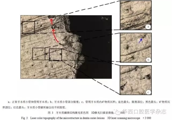 640.webp (2).jpg 640.webp (2).jpg