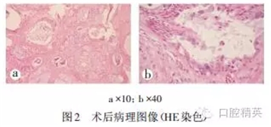 640.webp (3).jpg 640.webp (3).jpg