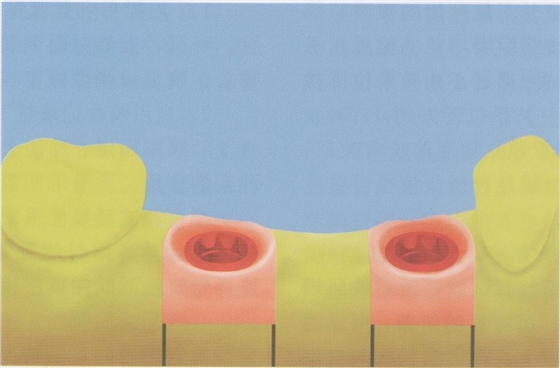 psb (2).jpg psb (2).jpg