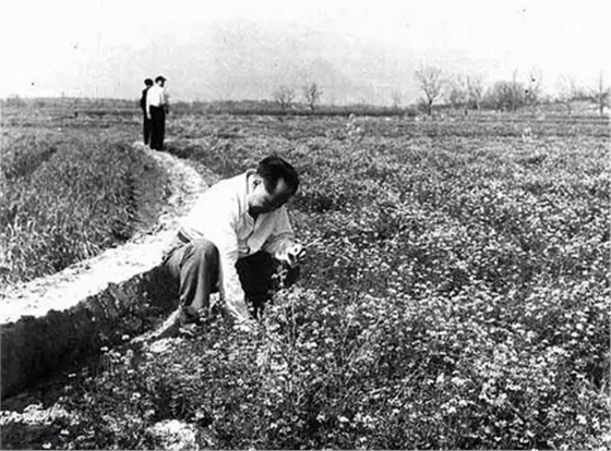 640.webp (5).jpg 640.webp (5).jpg