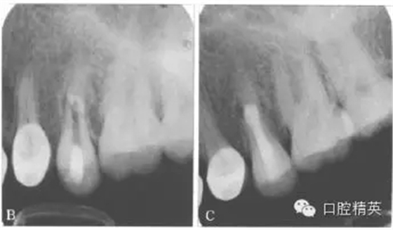 640.webp (3).jpg 640.webp (3).jpg