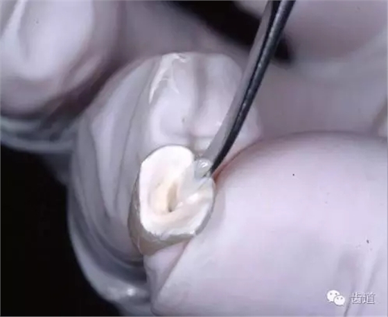 640 (1).webp (21).jpg 640 (1).webp (21).jpg