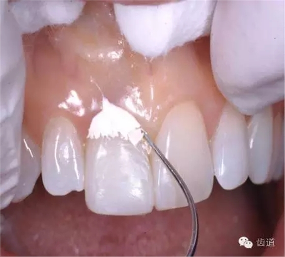 640 (1).webp (24).jpg 640 (1).webp (24).jpg