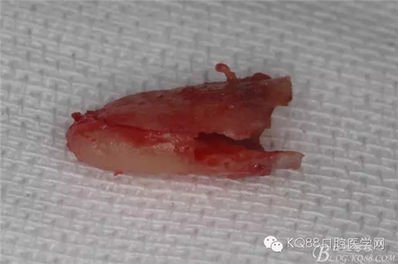 640.webp (24).jpg 640.webp (24).jpg