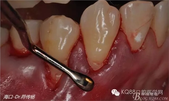 640.webp (6).jpg 640.webp (6).jpg