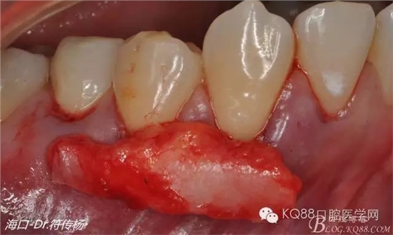 640.webp (13).jpg 640.webp (13).jpg