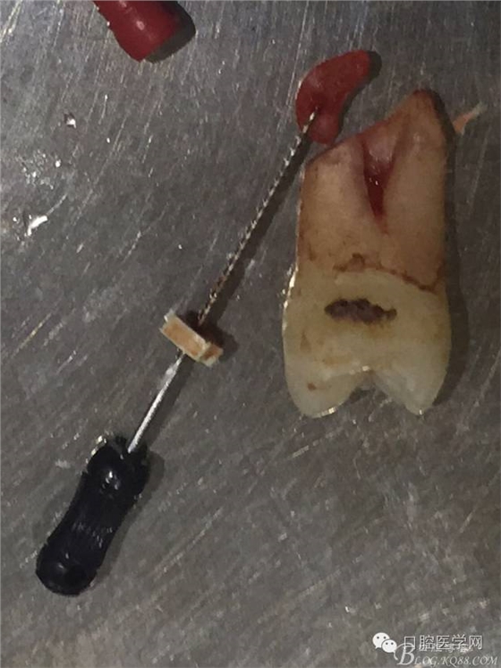 640 (2).jpg 640 (2).jpg