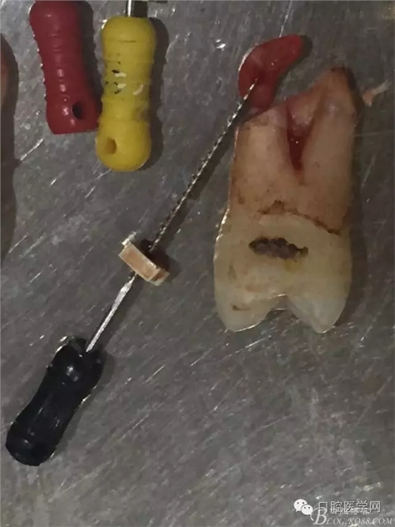 640.webp (3).jpg 640.webp (3).jpg