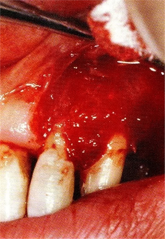 640.webp (12).jpg 640.webp (12).jpg