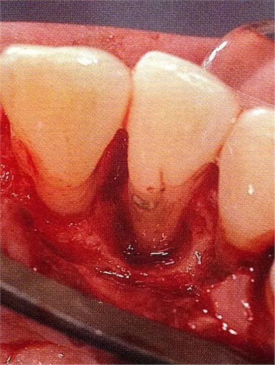 640.webp (18).jpg 640.webp (18).jpg