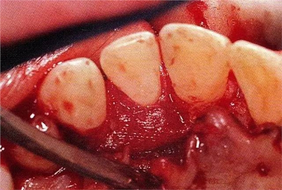 640 (1).jpg 640 (1).jpg